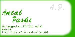 antal puski business card